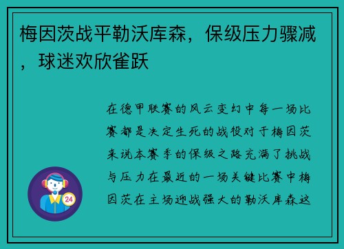 梅因茨战平勒沃库森，保级压力骤减，球迷欢欣雀跃