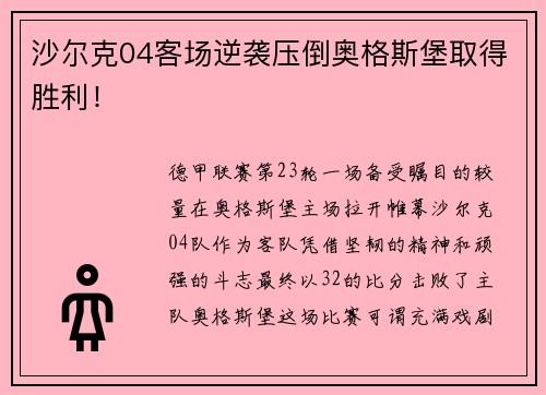 沙尔克04客场逆袭压倒奥格斯堡取得胜利！